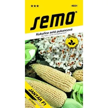 Semeno Semo Smržice Kukuřice pukancová - Jantár F1 6g