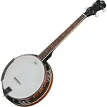 VGS Vision in Guitars Banjo Select 4S…