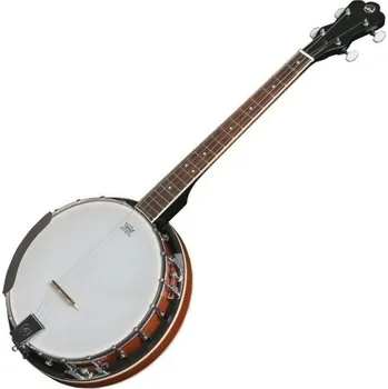VGS Vision in Guitars Banjo Select 4S Natural