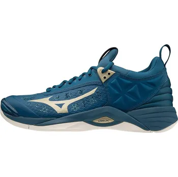 Pánská sálová obuv Mizuno Wave Momentum modrá/bílá 46