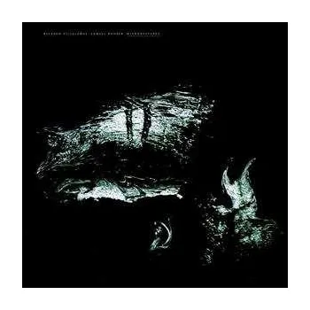 Zahraniční hudba 2LP Samuel Rohrer: Microgestures 2022