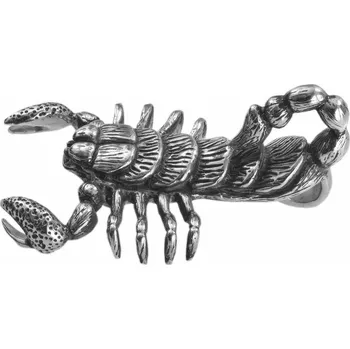 Přívěsek River Šperky. Přívěsek. 99250145 Masivní přívěsek z chirurgické oceli Škorpión. 99250145