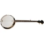 Tanglewood TWB18 M 5