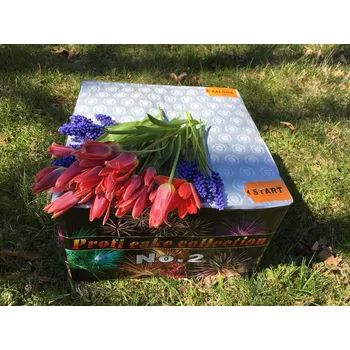 Zábavní pyrotechnika PROFI CAKE 2 - (100 ran/25mm) - 1min.30s.