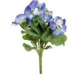 Autronic Maceška modrá