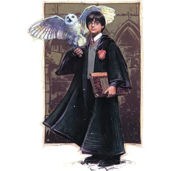 Plakát Plakát, Obraz - Harry Potter with Hedvig - Art