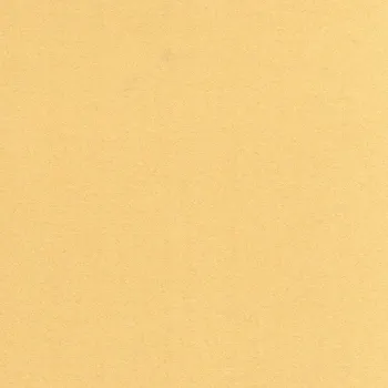 Výtvarný papír URSUS Barevný papír 10 ks A4 perleťový zlatý 220 g/m2