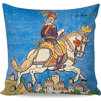 Bytový textil Matějovský Povlečení LADA - digital tisk - POPELÁK velikost: 40x40 cm