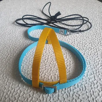 Postroj pro psa Postroj pro papoušky JMK vel.S,M,L barevná kombinace - Barva: Žluto modré , Velikost: S