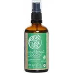 TIERRA VERDE - Osvěžovač vzduchu - BIO Eukalyptus, Obsah 100ml - skleněná lahvička