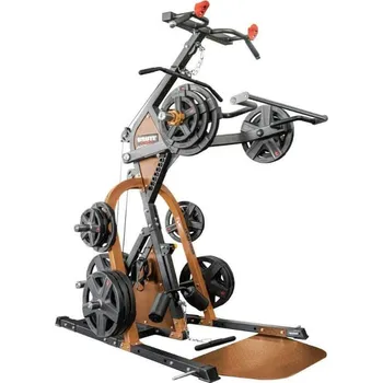 Posilovací věž Brute Force Raptor Lever Gym