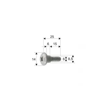 Bodywork screw RMS 121856101