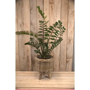 Květináč Proutěný květináč na nožičkách