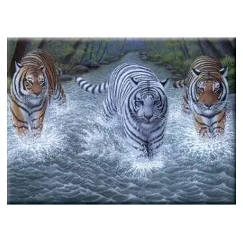 Malování podle čísel - Senior 40x30cm Tři tygři