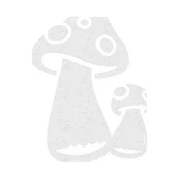 Samolepící dekorace Houby 001 pravá (84 - Ultra Metalic bílá) SAMOLEPKA NA AUTO, NÁLEPKA, FÓLIE, POLEP, TUNING, VLASTNÍ TEXT, TISK, AUTOSAMOLEPKY.cz, POLEPY, OBRÁZEK, LOGO, 3D STICKERS