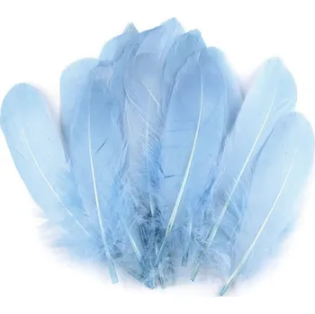 Výtvárné potřeby Husí peří délka 12-21 cm, barva 24 modrá pomněnková