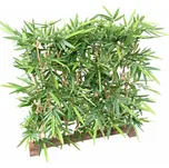 Vert Espace Bambus New Hedge UV