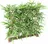 Vert Espace Bambus New Hedge UV, 1,10 x 1,2 m