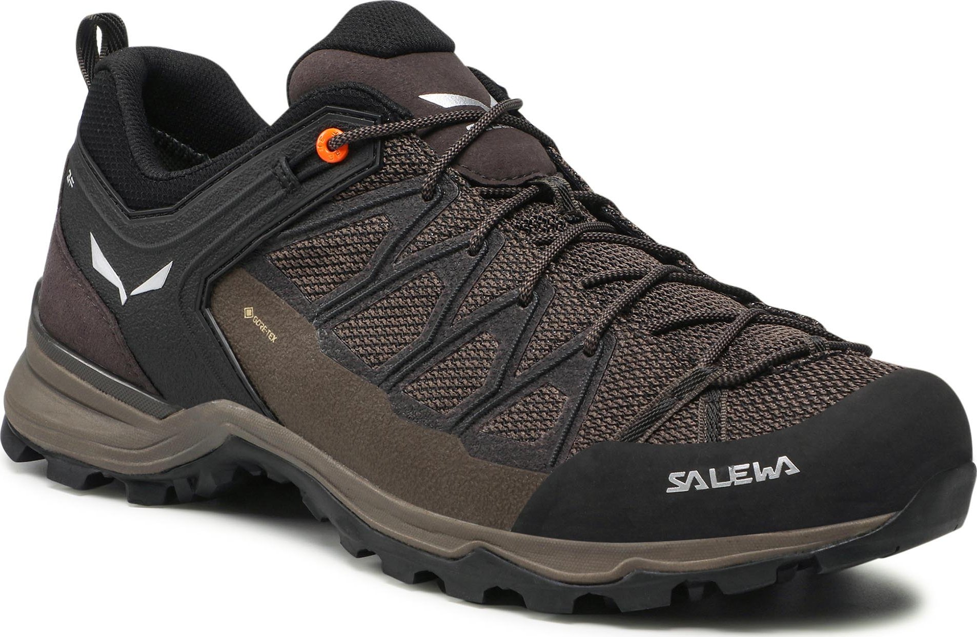 mtn trainer gtx salewa