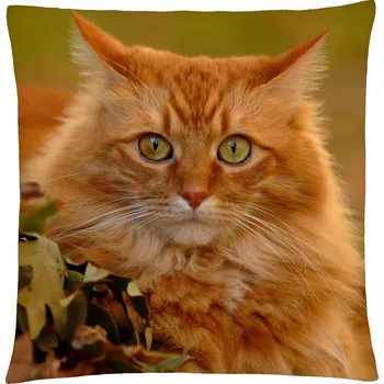 Polštář Polštář s motivem kočky 44 Mybesthome 40x40 cm Varianta: Povlak na polštář s výplní, 40x40 cm