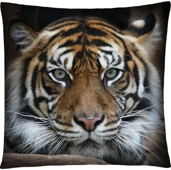 Polštář Polštář ANIMAL 35 - TYGR Mybesthome 40x40 cm Varianta: Povlak na polštář, 40x40 cm