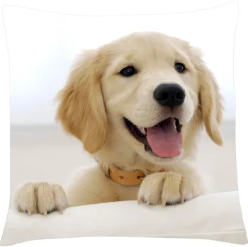 Polštář Polštář s motivem psa 26 Retriever Mybesthome 40x40 cm Varianta: Povlak na polštář, 40x40 cm