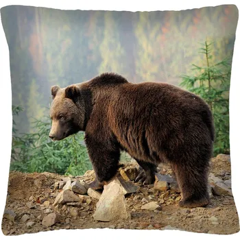 Polštář Polštář animal 14 - MEDVĚD Mybesthome 40x40 cm Varianta: Povlak na polštář, 40x40 cm