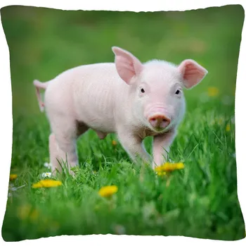 Polštář Polštář animal 04 - PRASÁTKO Mybesthome 40x40 cm Varianta: Povlak na polštář s výplní, 40x40 cm