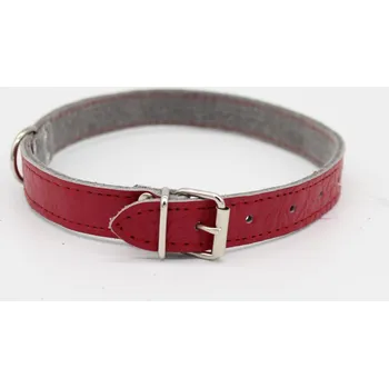 Obojek pro psa Kožený obojek DOLEŽEL 50cm červená