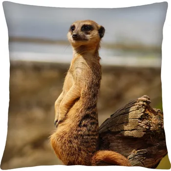Polštář Polštář animal 68 SURIKATY II. Mybesthome 40x40 cm Varianta: Povlak na polštář, 40x40 cm