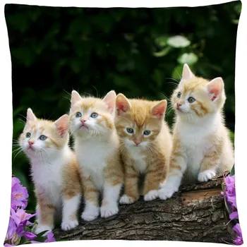 Polštář s motivem kočky 36, béžová, Mybesthome 40x40 cm Varianta: Povlak na polštář s prošívanou výplní, 40x40 cm