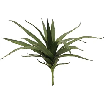 umělá květina Umělý kaktus Aloe vera, zelená, 50 cm
