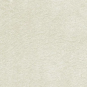 Koberec Kobercová krytina 4M Wersal 3