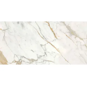 Dlažba Dlažba Ragno Incanto Calacatta Michelangelo 60x120 cm mat R8SG