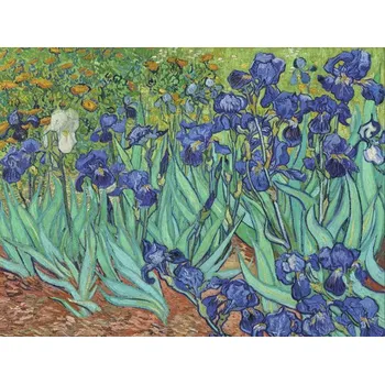 Fototapeta Fototapeta vliesová Van Gogh 340x254 cm