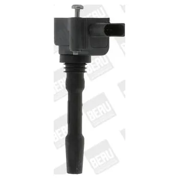 Zapalovací cívka Zapalovací cívka BorgWarner (BERU) ZSE163