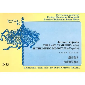 Kdyby ty muziky nebyly / Poslední táborák