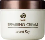 Secret Key Snail Repairing Cream…