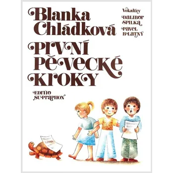 První pěvecké kroky -základní studijní úkoly, technické problémy