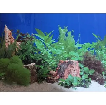 Dekorace do akvária Akvarijní tapeta oboustranná č.8 – výška 60 cm