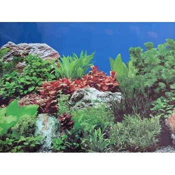 Dekorace do akvária Akvarijní tapeta č.5 – výška 60 cm