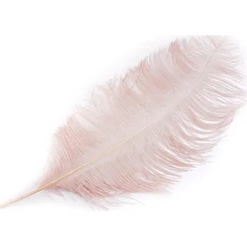 Výtvárné potřeby Pštrosí peří délka 60 cm, barva 10 pudrová