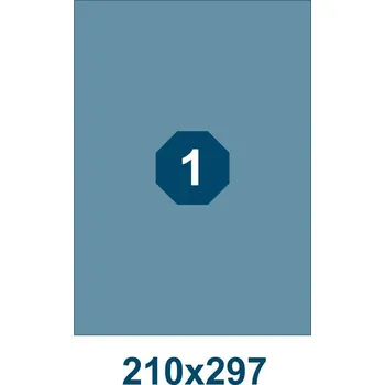 Speciální papír KZK Samolepicí etikety Bílá 100 210x297 mm