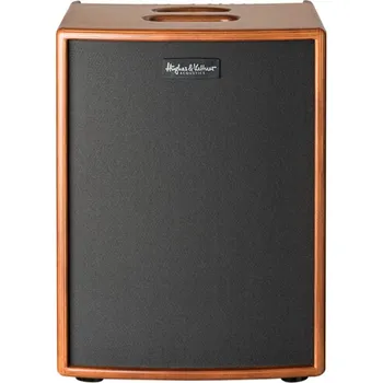 Aparatura pro kytaru Hughes & Kettner Era 2 Wood