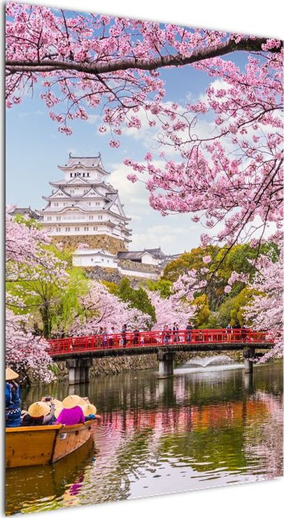 LuxusniObrazy.cz Obraz japonské třešně