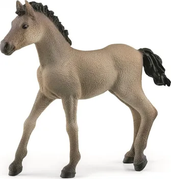 Figurka Schleich 13949 Hříbě Criollo Definitivo