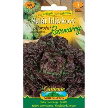 Pěstitelství Salát hlávkový celoroční ROSEMARRY, červený