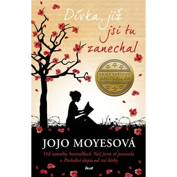 Dívka, již jsi tu zanechal - Jojo Moyesová (2016, brožovaná)