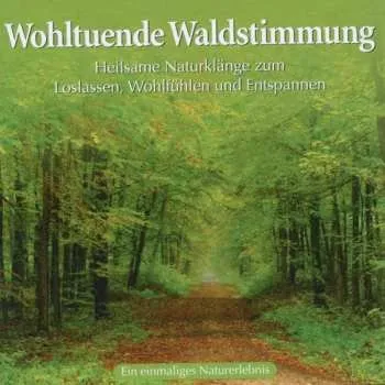 Zahraniční hudba CD Various: Wohltuende Waldstimmung 2011