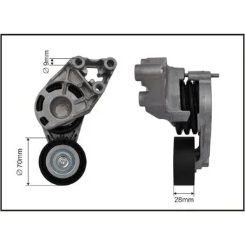 Auto-moto Napínací rameno, žebrovaný klínový řemen CAFFARO 118087SP
